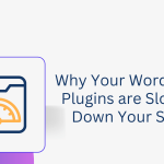 Why Your WordPress Plugins are Slowing Down Your Site and How to Fix It?